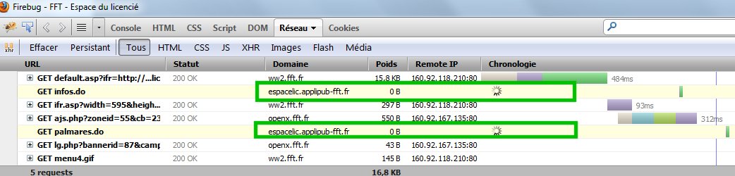 espace_lic_firebug.jpg
